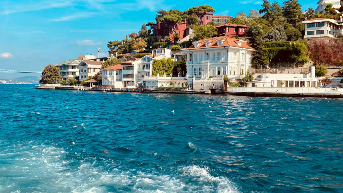 International Travel